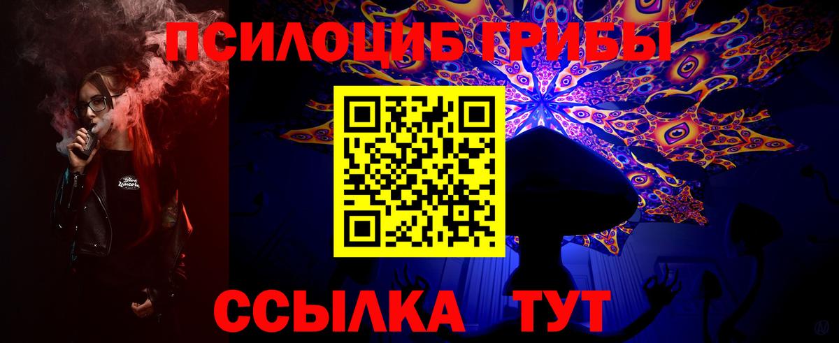 Псилоцибиновые грибы Cubensis  Вход с VPN  Туймазы 